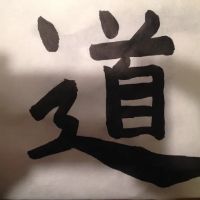 Karate Shorin ico