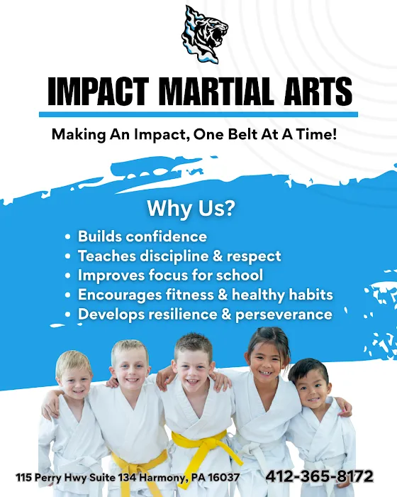 Impact ATA Martial Arts Picture 5