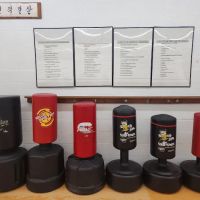 Center Stage Martial Arts ico