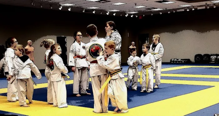 H&H Family Martial Arts Academy Picture 6