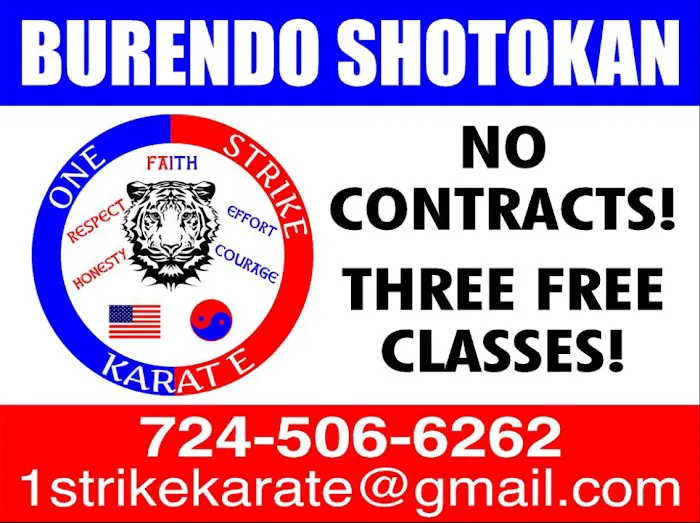 One Strike Karate(Burendo Shotokan) Picture 4