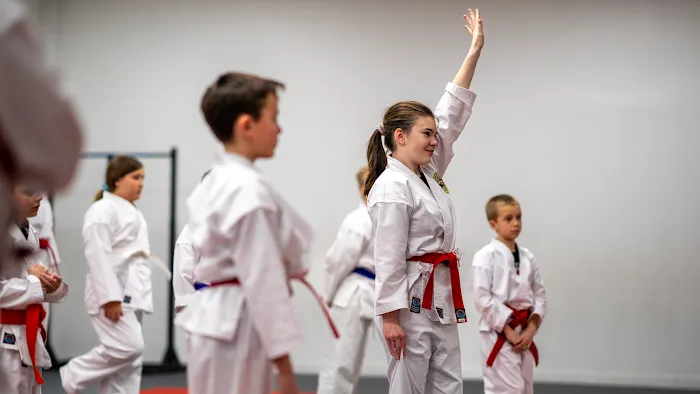 Shorin Ryu Karate Do International - Pittsburgh Picture 4