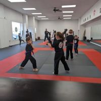 Shorin Ryu Karate Do International - Pittsburgh ico