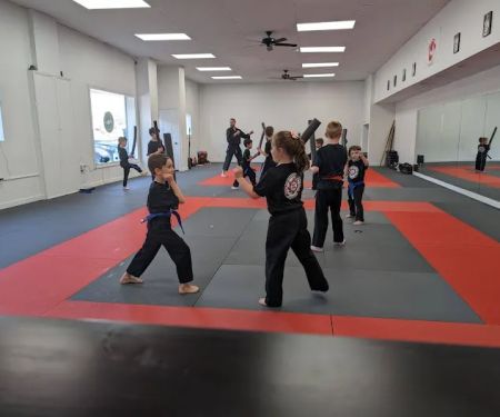 Shorin Ryu Karate Do International - Pittsburgh