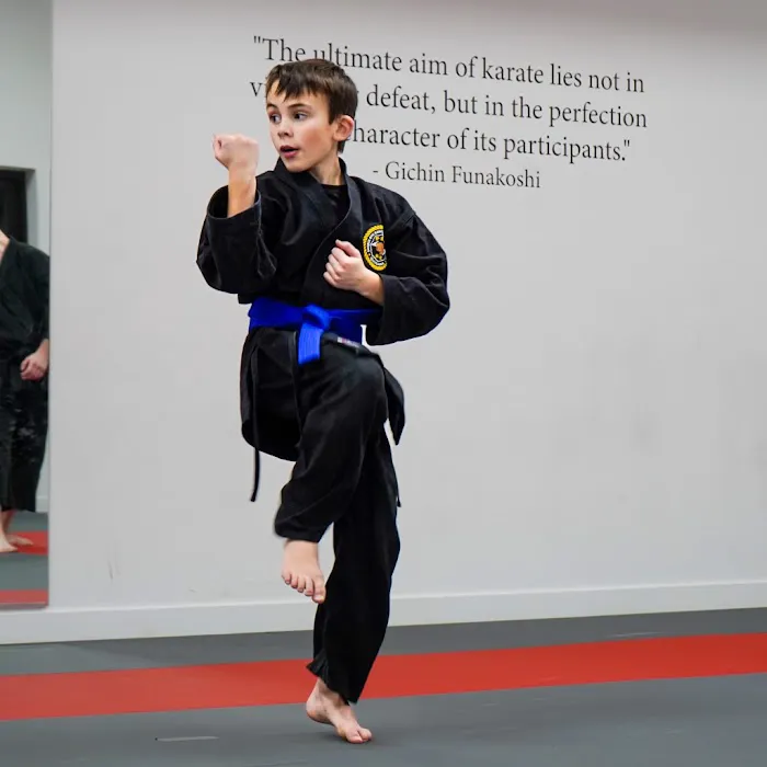 Shorin Ryu Karate Do International - Pittsburgh Picture 6
