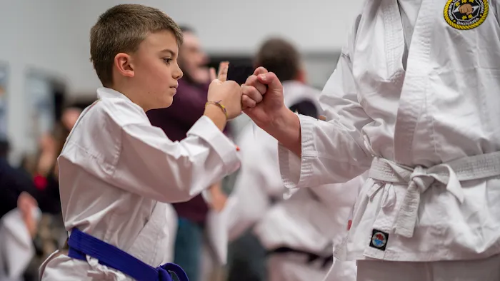 Shorin Ryu Karate Do International - Pittsburgh Picture 9