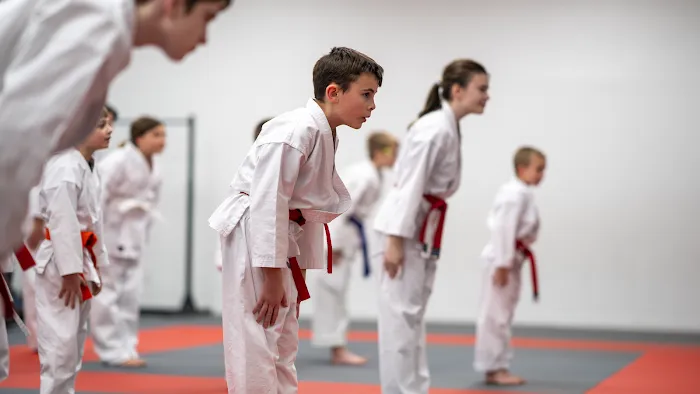 Shorin Ryu Karate Do International - Pittsburgh Picture 8