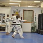 Young Brothers Tae Kwon Do