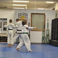 Young Brothers Tae Kwon Do ico