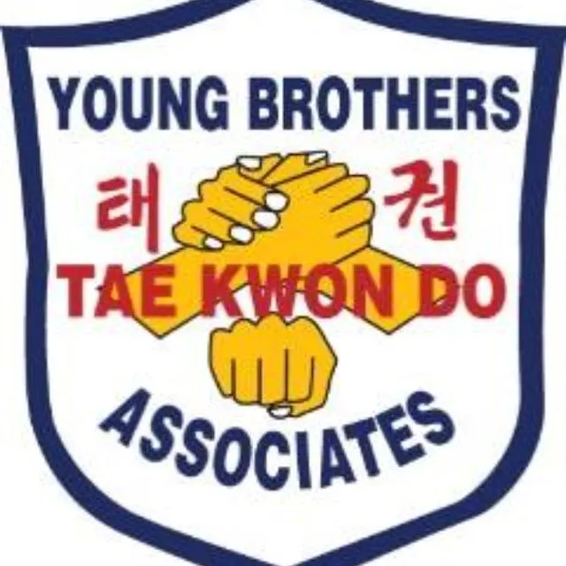Young Brothers Tae Kwon Do Picture 2