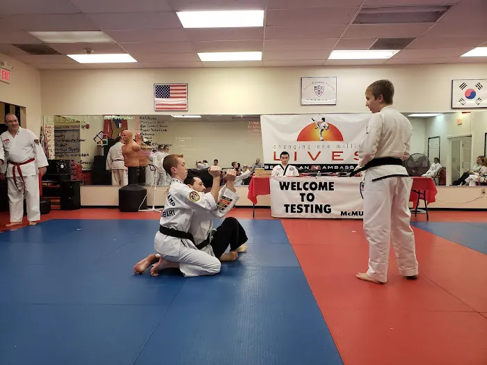 ATA McMurray Martial Arts Academy Picture 1