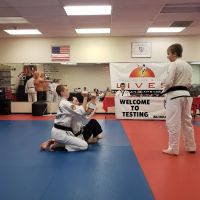 ATA McMurray Martial Arts Academy ico