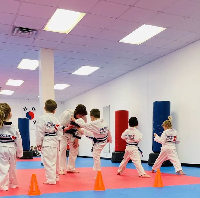Excel Martial Arts Picture 2