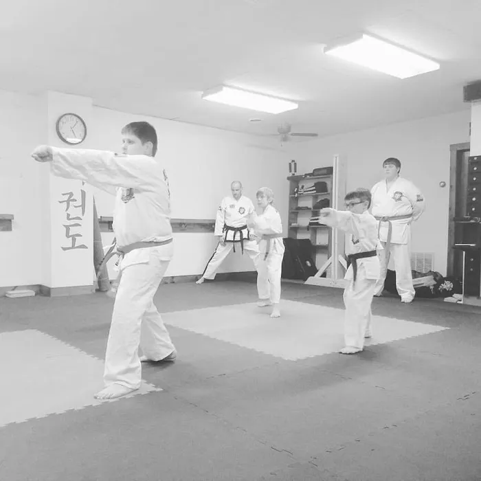Indiana Tae Kwon Do Center Picture 2