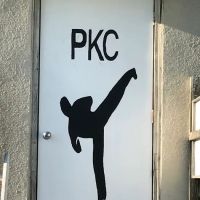 Petrillo's Karate Campus ico