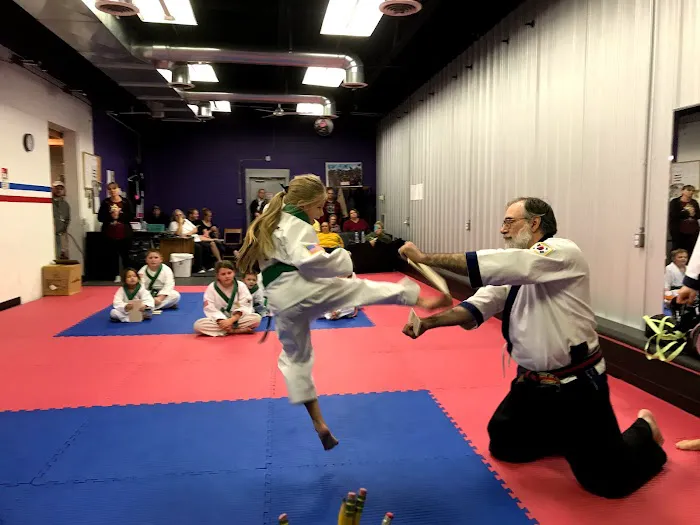Petrillo's Karate Campus Picture 8