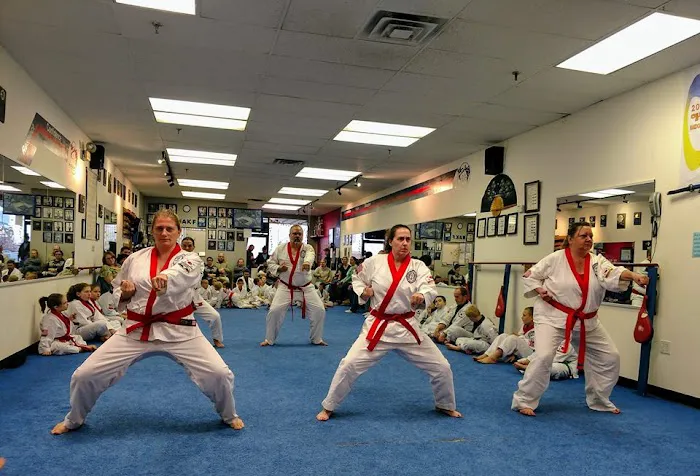North American Karate and Fitness Picture 2
