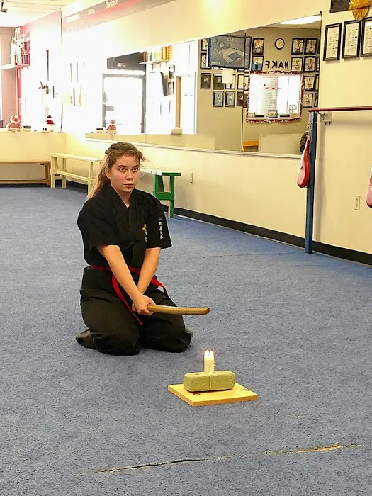 North American Karate and Fitness Picture 8