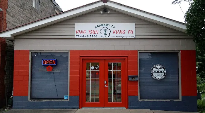 Academy of Ving Tsun Kung Fu Picture 1