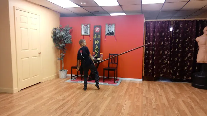 Academy of Ving Tsun Kung Fu Picture 5