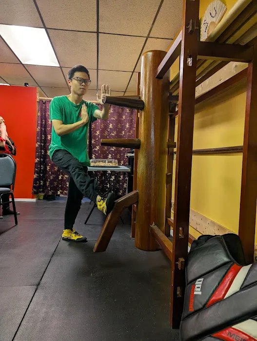 Academy of Ving Tsun Kung Fu Picture 6