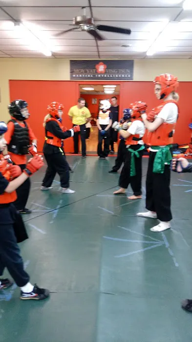 Academy of Ving Tsun Kung Fu Picture 7