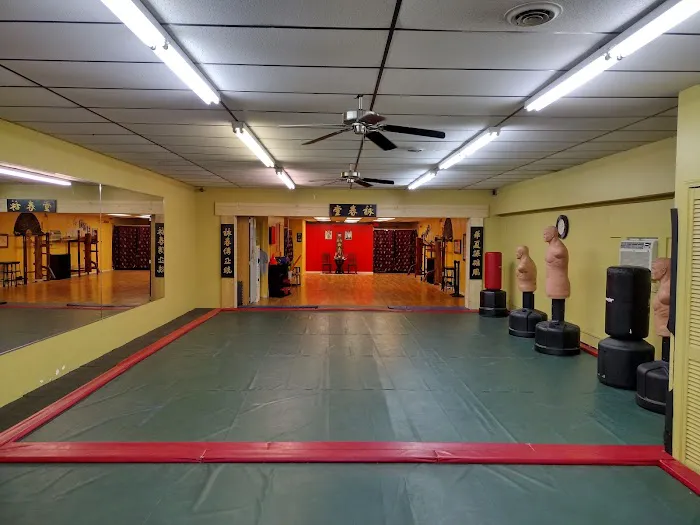 Academy of Ving Tsun Kung Fu Picture 8