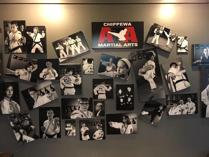 Chippewa Martial Arts Picture 1