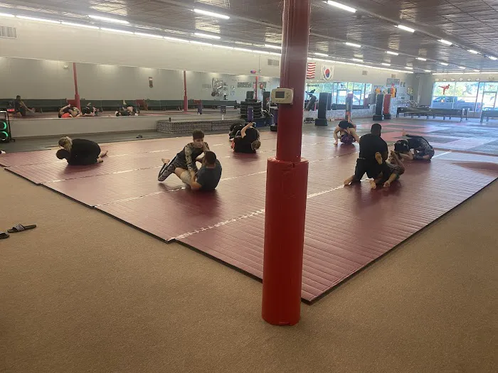 Level Up Grappling Picture 3