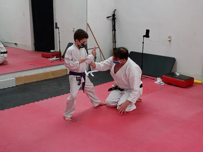 Shotokan Karate of Ellwood City Picture 3