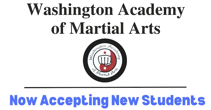 Washington Academy of Martial Arts Picture 6