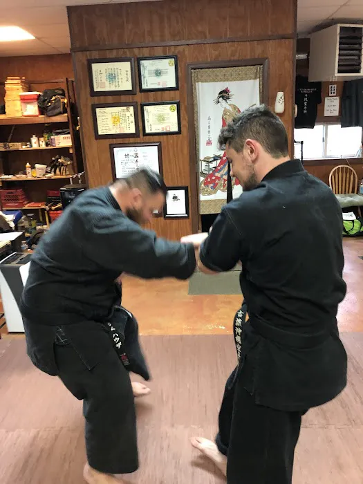 Torii Dojo: Okinawa Karate Picture 4