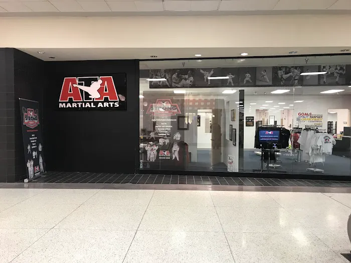 ATA Martial Arts Picture 1