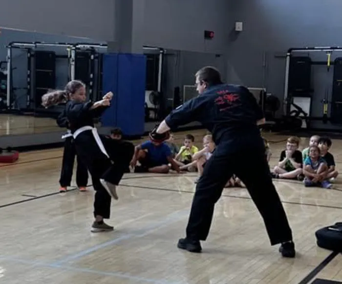 SOTA Martial Arts, LLC Picture 2