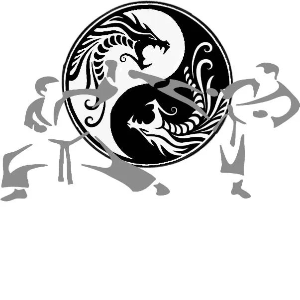 Fighting Dragonz Martial Arts Picture 5
