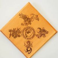 Crystal Dragon Family Martial Arts Center, LLC ico