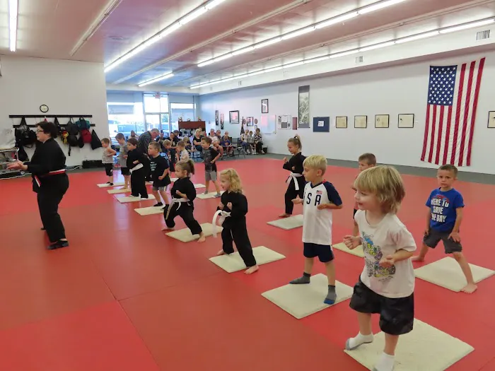 Crystal Dragon Family Martial Arts Center, LLC Picture 7