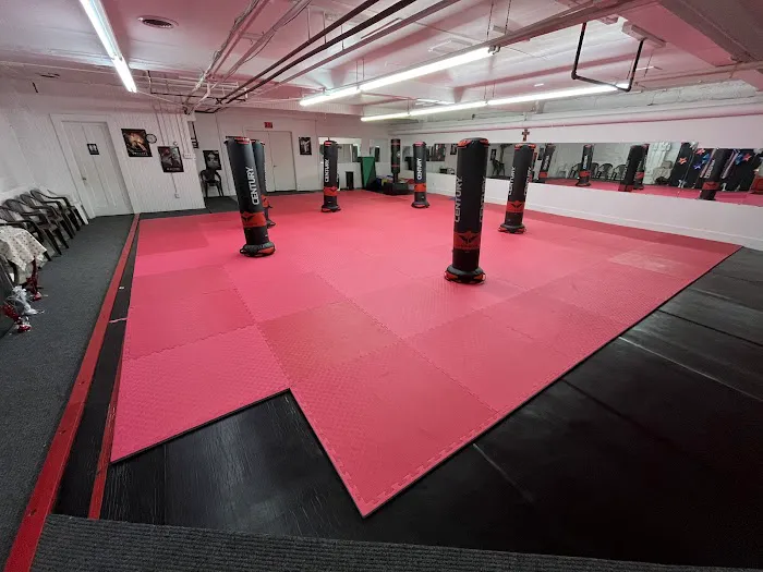 Pennsylvania Martial Arts Academy Picture 2