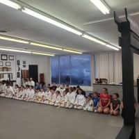 Pennsylvania Genbu Kai Karate Do ico