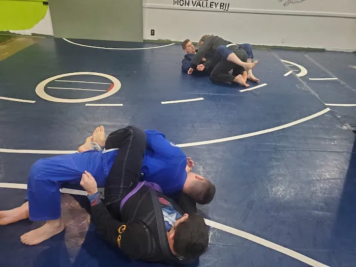 Mon Valley BJJ - Charleroi Picture 2