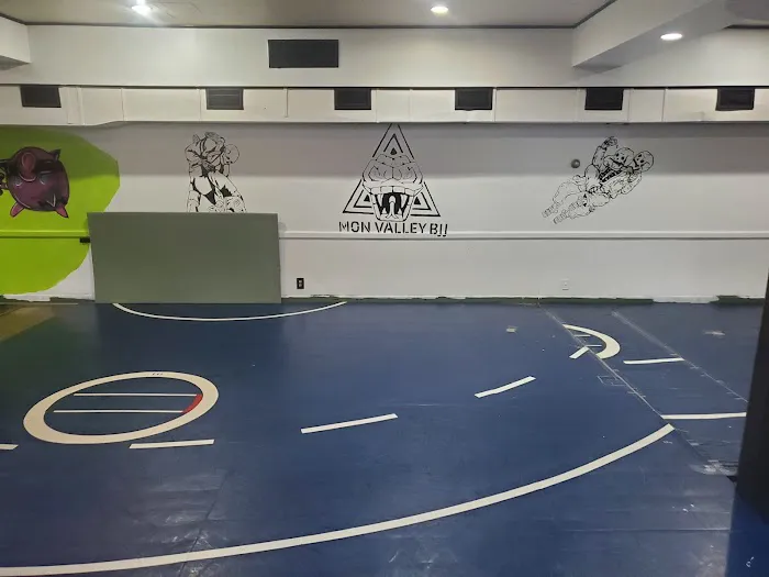 Mon Valley BJJ - Charleroi Picture 1