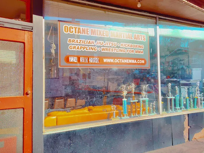 Octane Martial Arts Picture 1