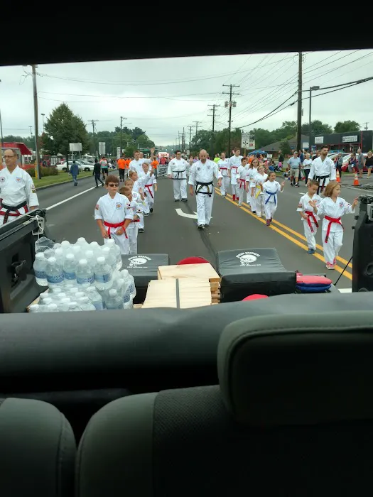 Young Brothers Tae Kwon Do Picture 4