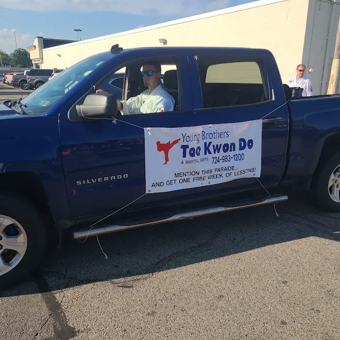 Young Brothers Tae Kwon Do Picture 3