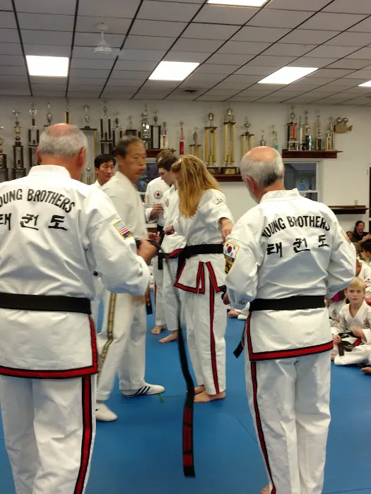 Young Brothers Tae Kwon Do Picture 5