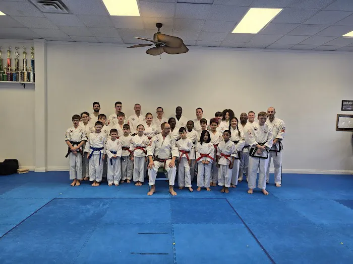 Young Brothers Tae Kwon Do Picture 9