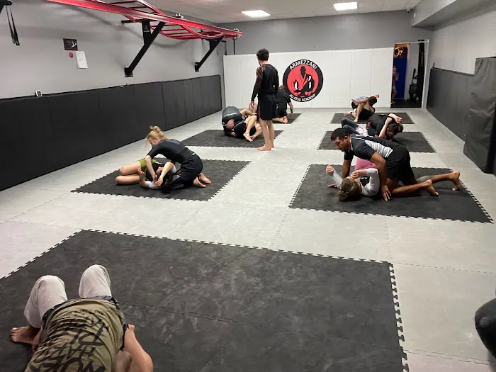 Armezzani Jiu Jitsu Academy Picture 9