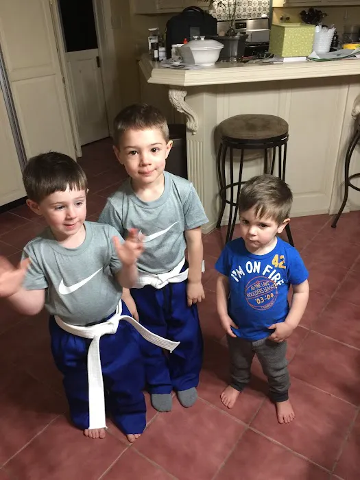 American Karate Studios Picture 5