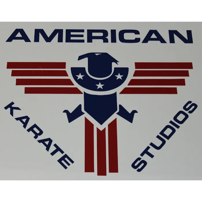 American Karate Studios Picture 10