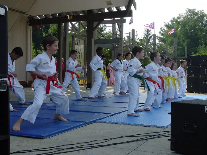 Master Park Martial Arts International Picture 2